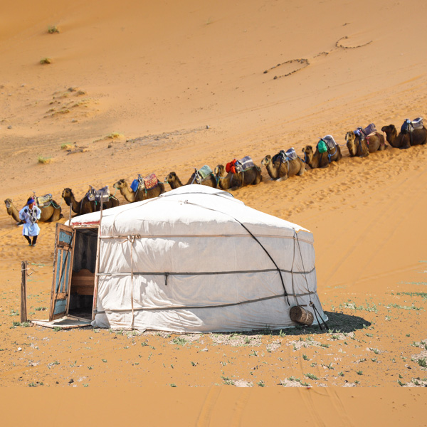 Bible Nomads At Jericho  