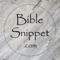 BibleSnippet.com Help Page