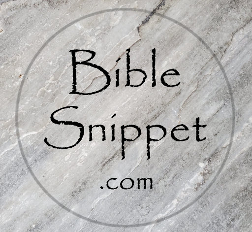 BibleSnippet.com Help Page